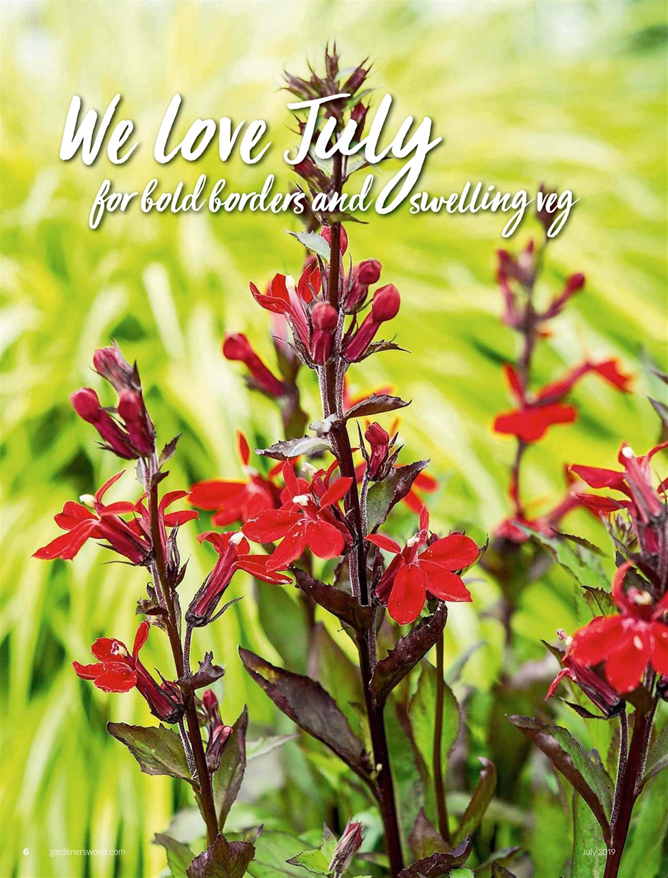 BBC Gardeners’ World Magazine Preview Pages