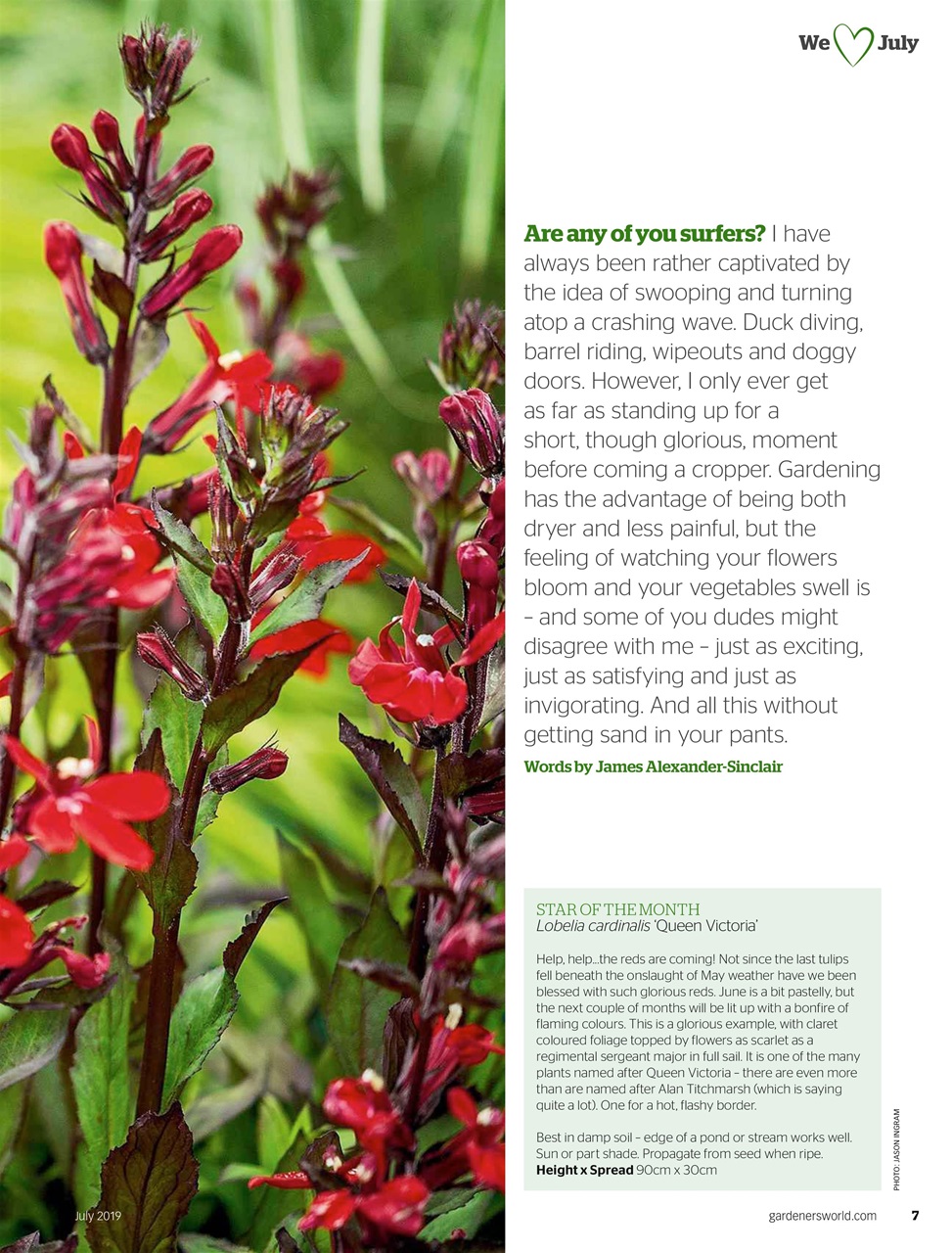 BBC Gardeners’ World Magazine Preview Pages
