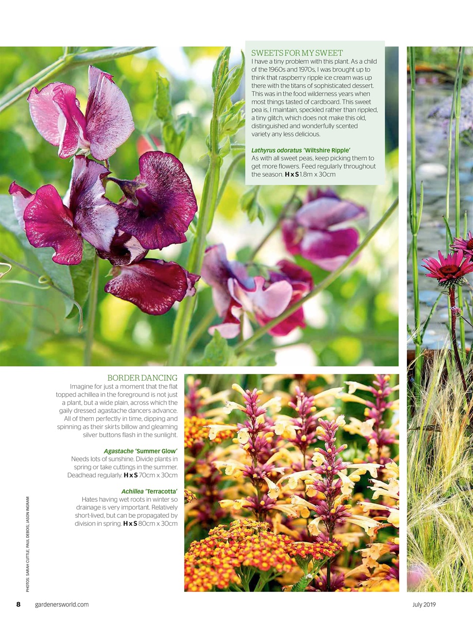 BBC Gardeners’ World Magazine Preview Pages