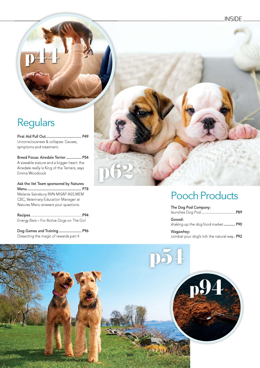 Edition Dog Preview Pages