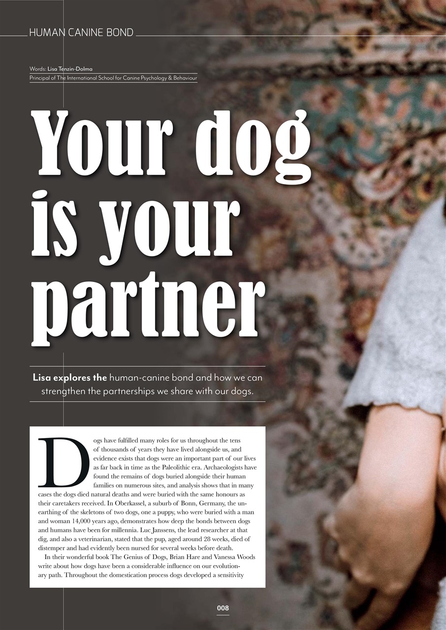 Edition Dog Preview Pages