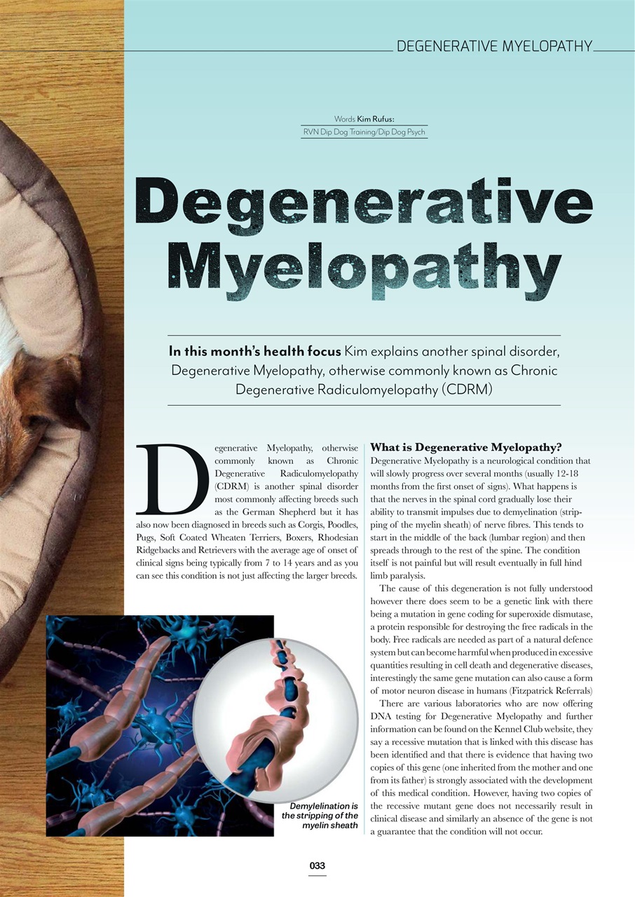 Edition Dog Preview Pages