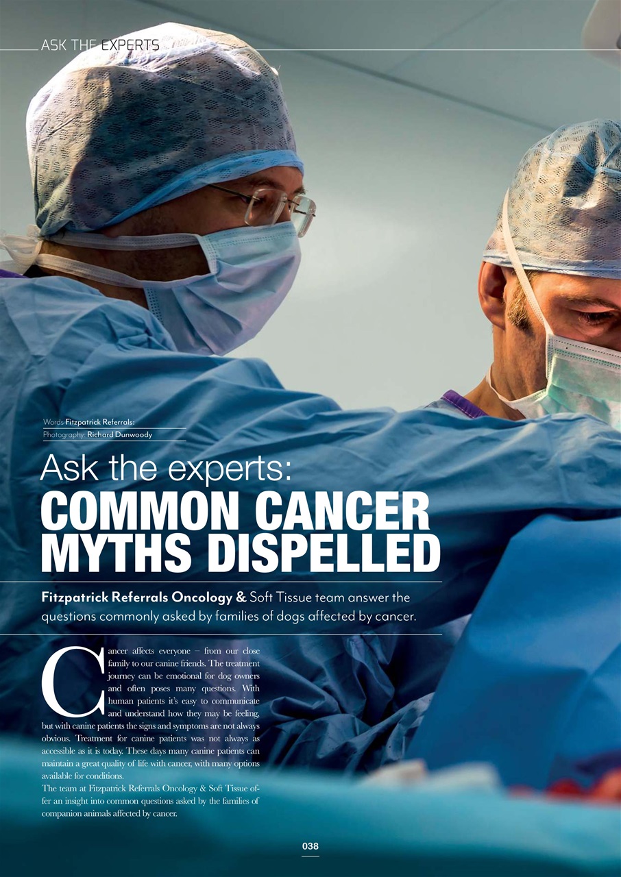 Edition Dog Preview Pages