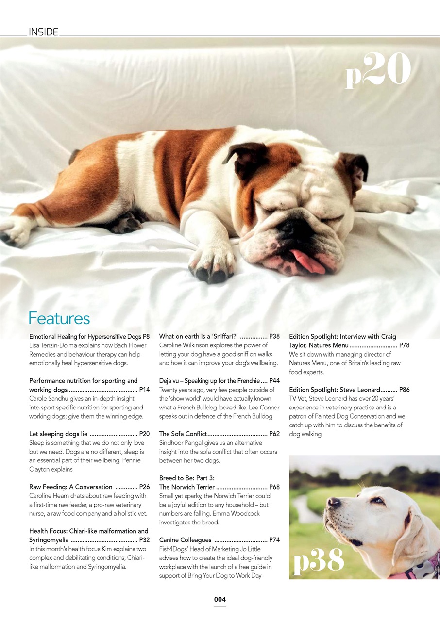 Edition Dog Preview Pages