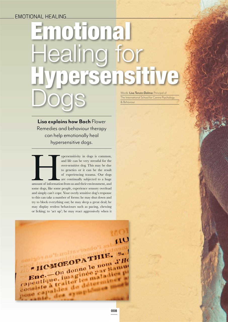 Edition Dog Preview Pages