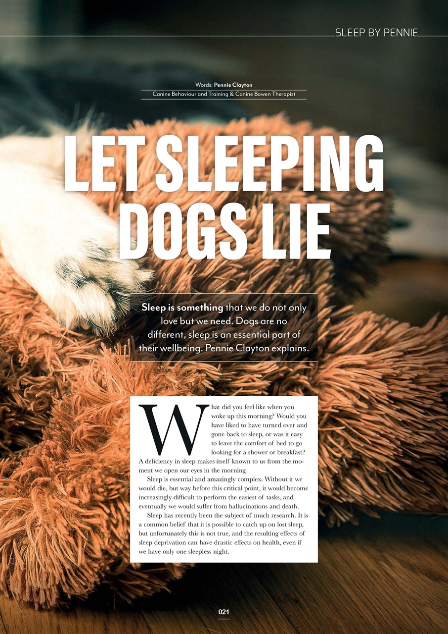 Edition Dog Preview Pages