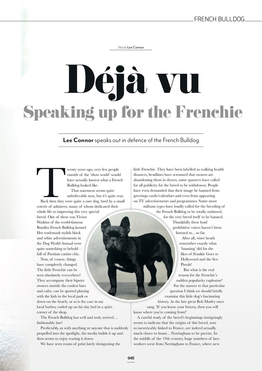 Edition Dog Preview Pages