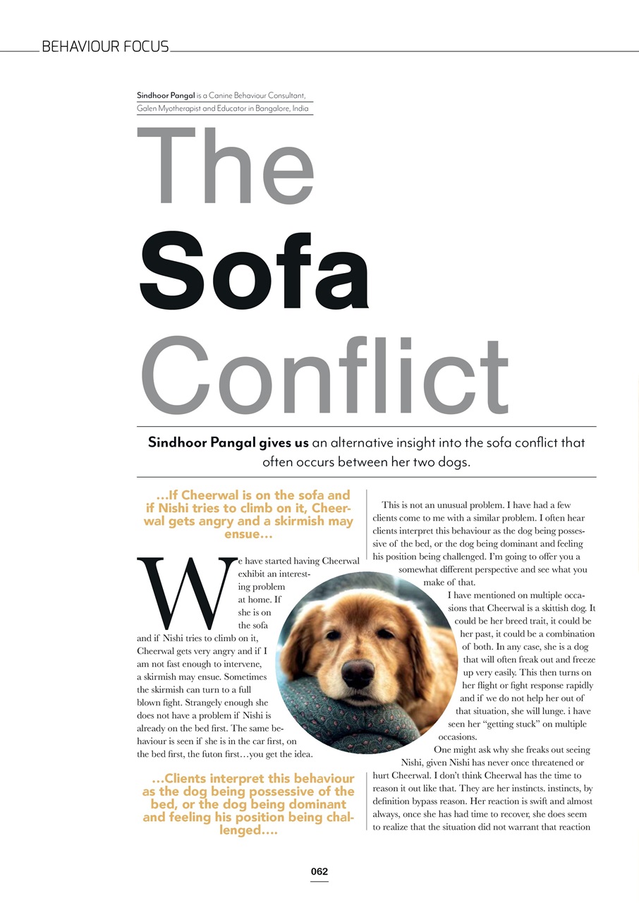 Edition Dog Preview Pages