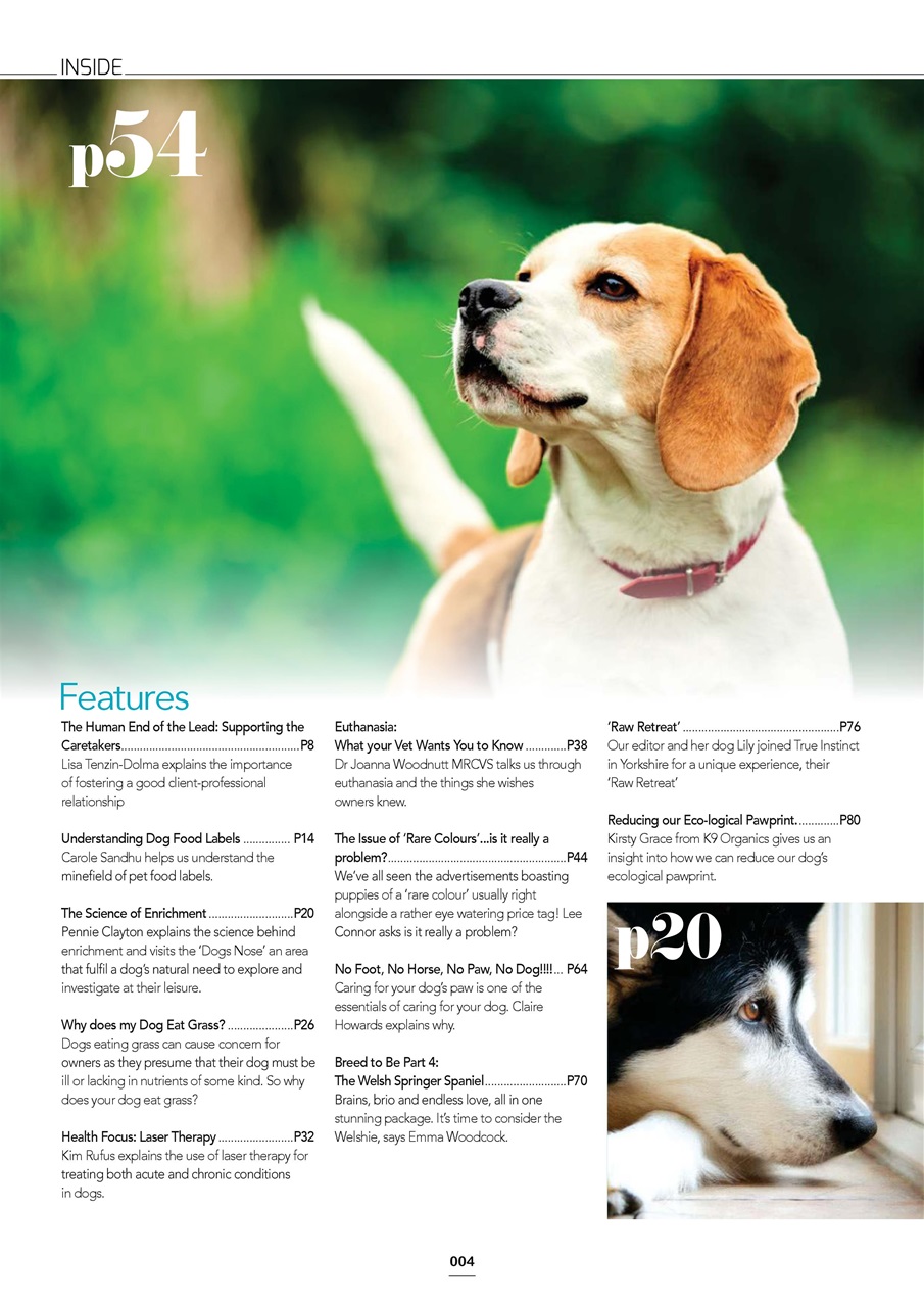 Edition Dog Preview Pages