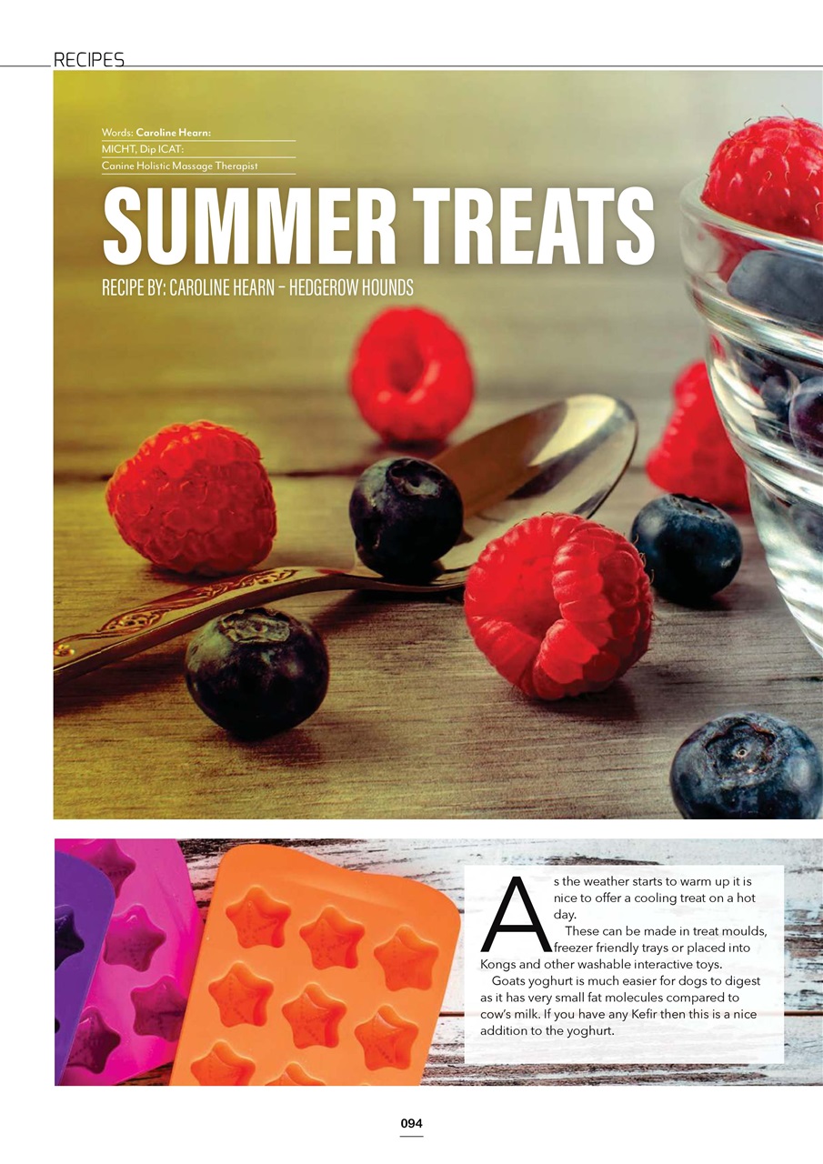 Edition Dog Preview Pages