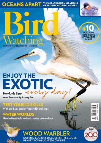 Bird Watching issue August 2019