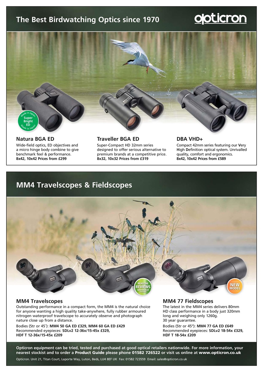 Bird Watching Preview Pages
