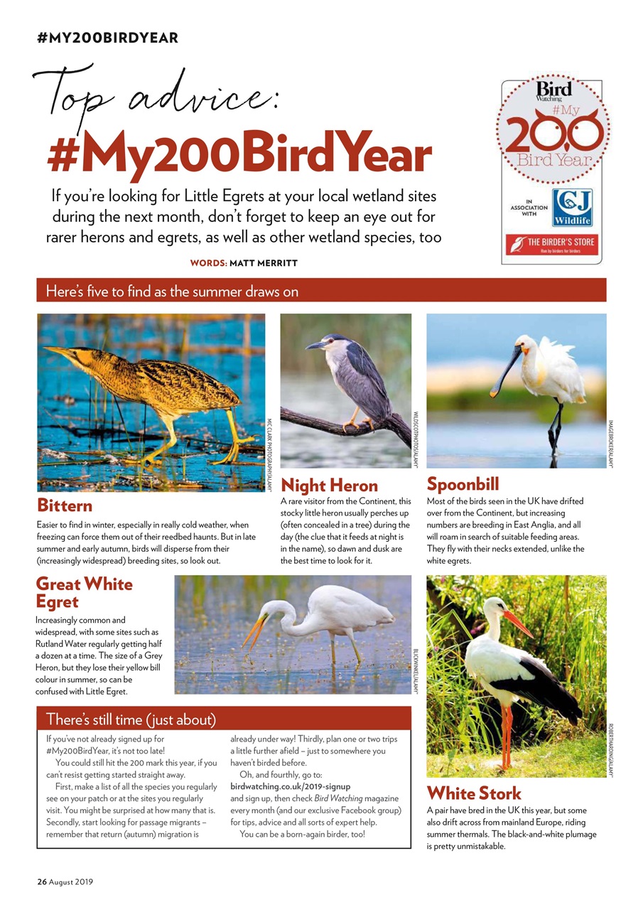 Bird Watching Preview Pages