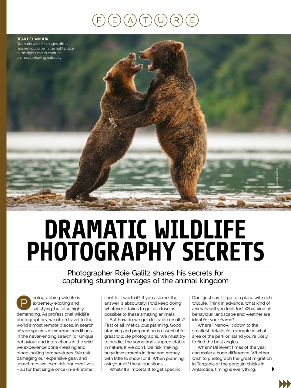 Photography Week Preview Pages