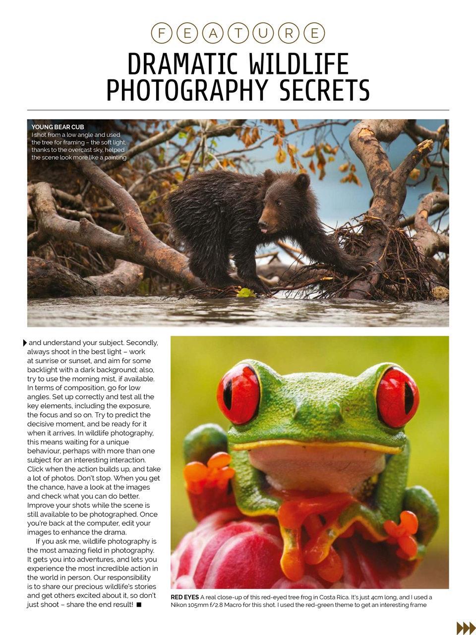 Photography Week Preview Pages
