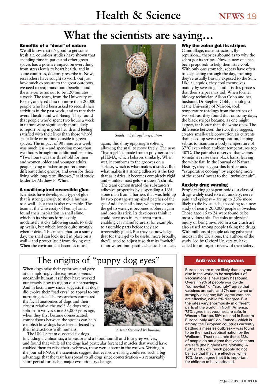 The Week Preview Pages