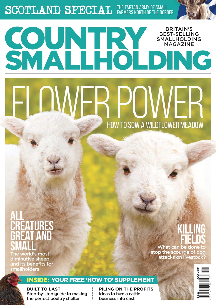 The Country Smallholder Preview Pages