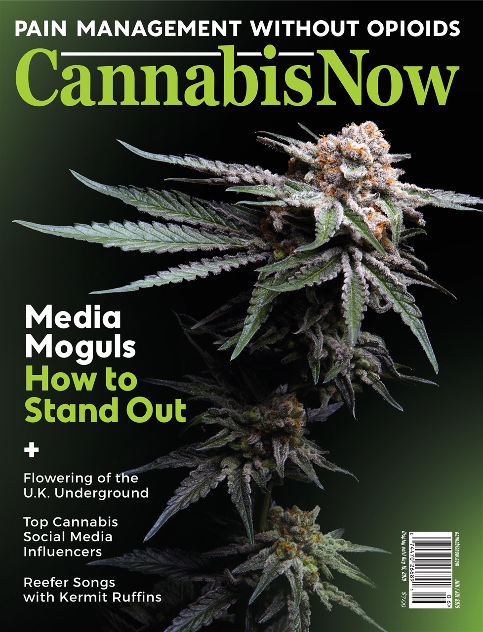 Cannabis Now Preview Pages