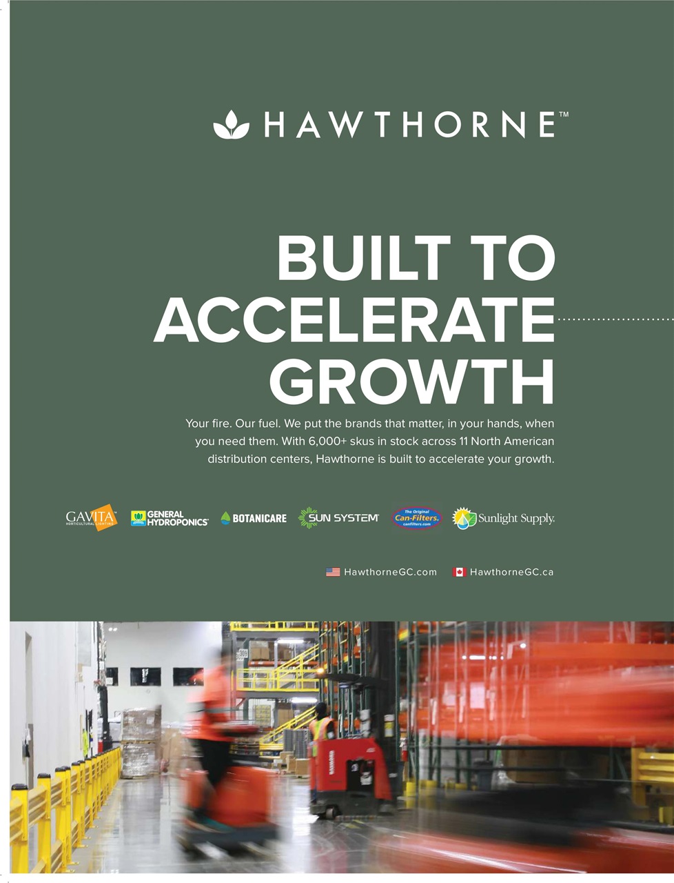 Cannabis Now Preview Pages