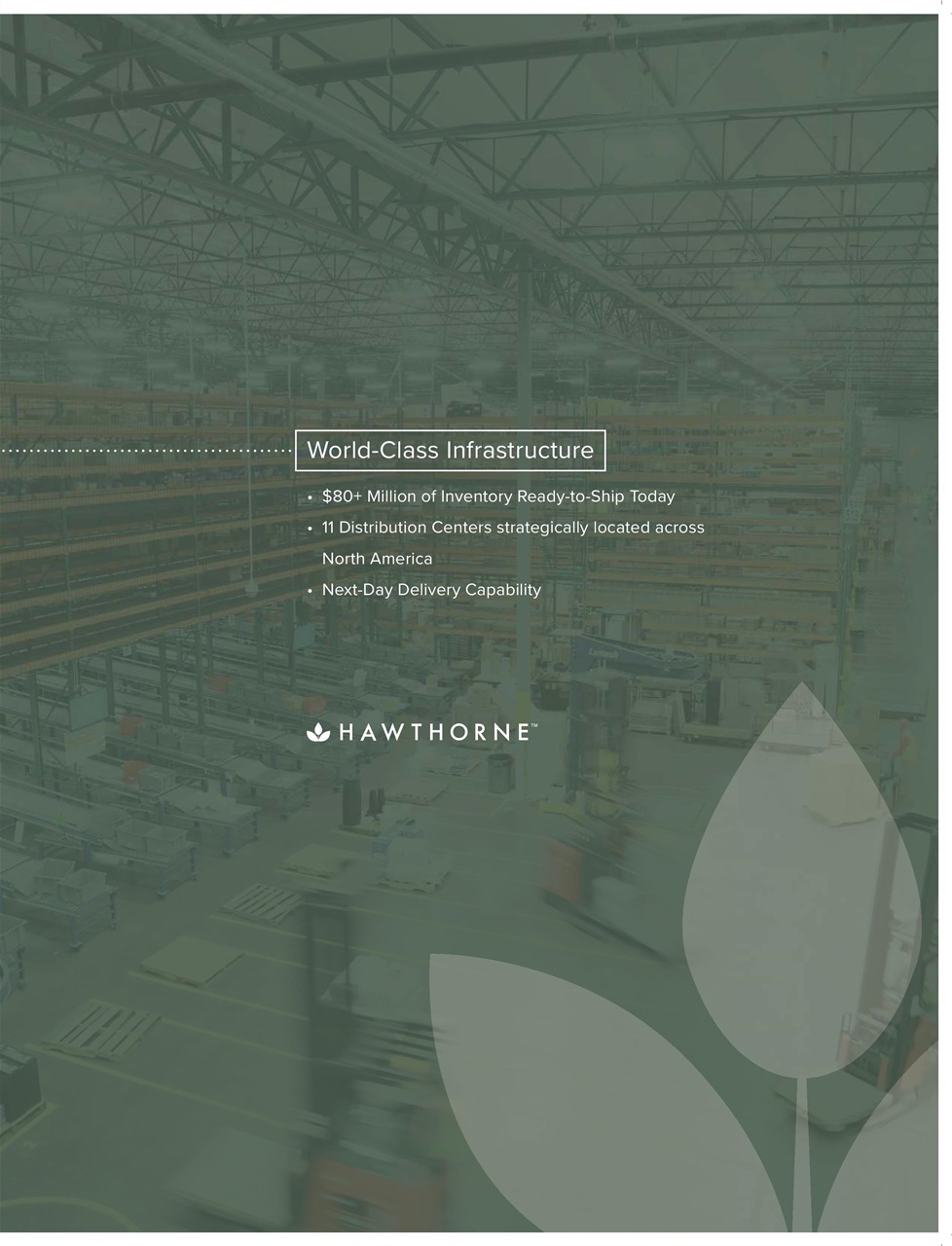 Cannabis Now Preview Pages