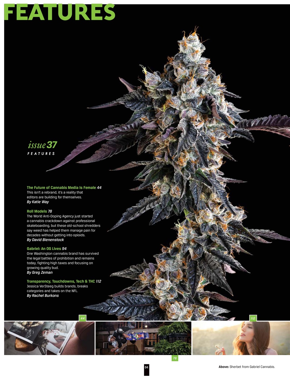 Cannabis Now Preview Pages