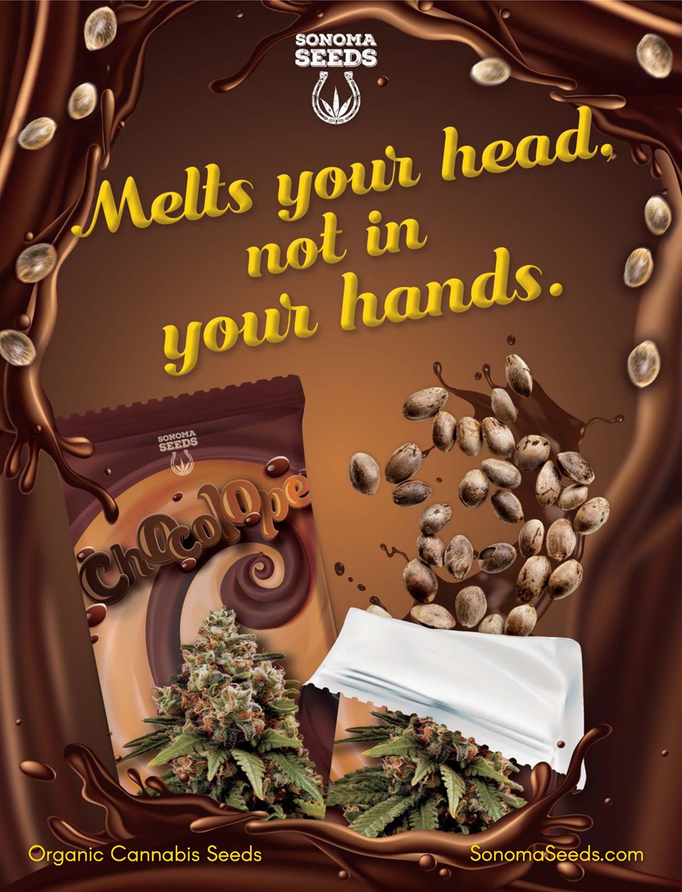 Cannabis Now Preview Pages