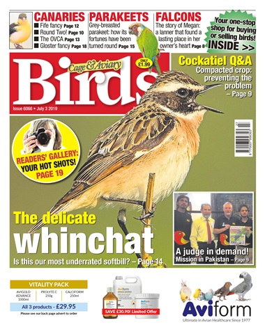 Cage & Aviary Birds issue 03/07/2019