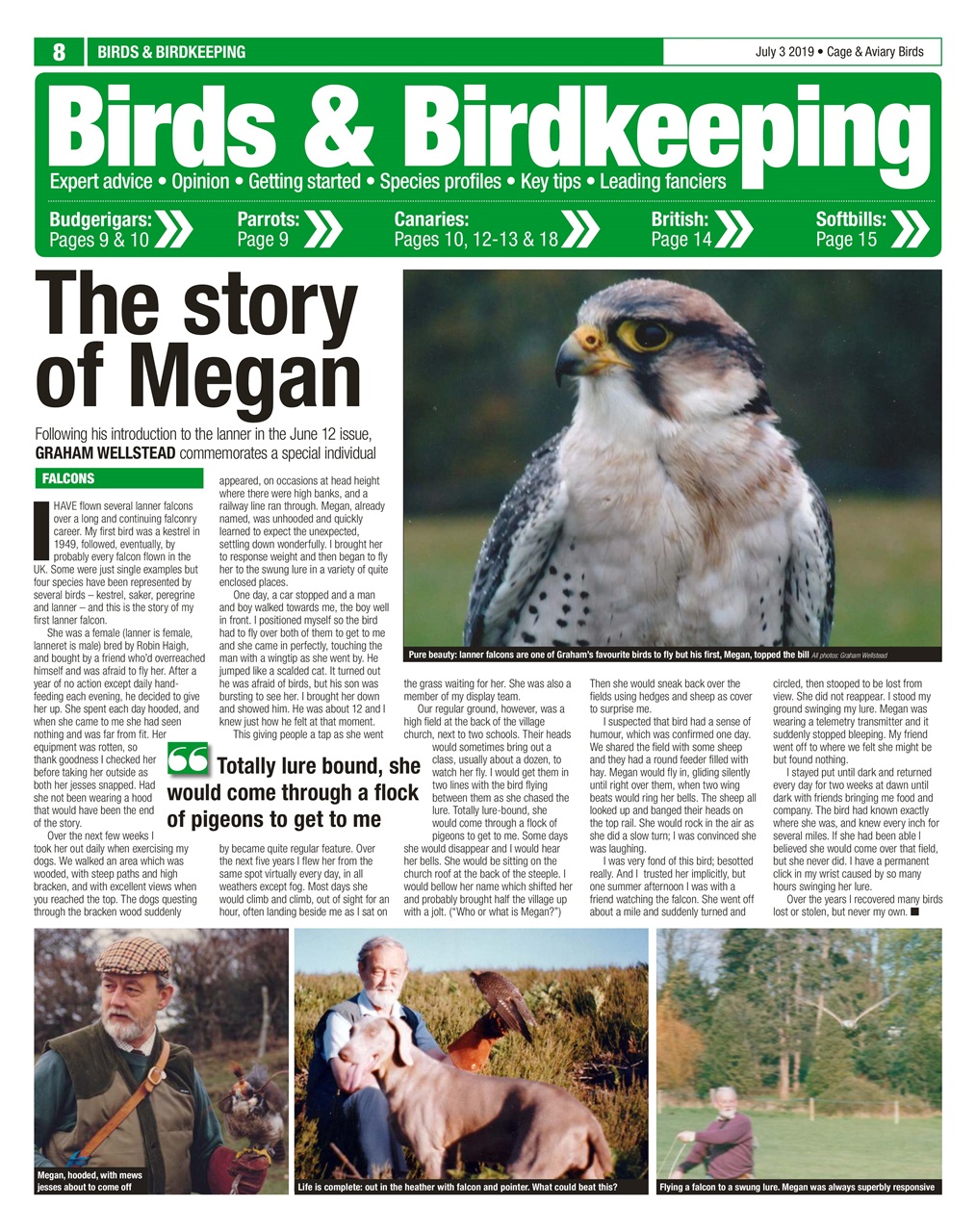 Cage & Aviary Birds Preview Pages