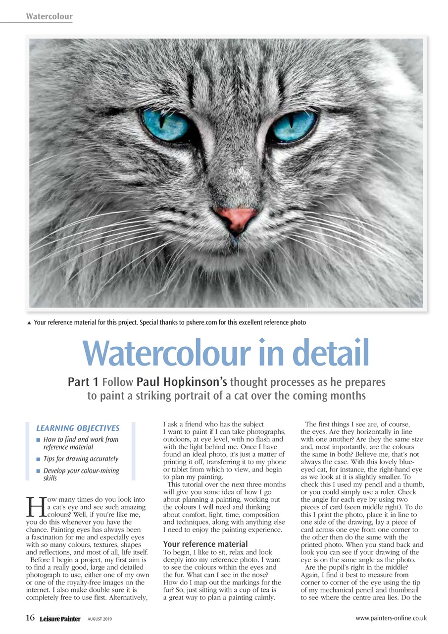 Leisure Painter & The Artist Preview Pages