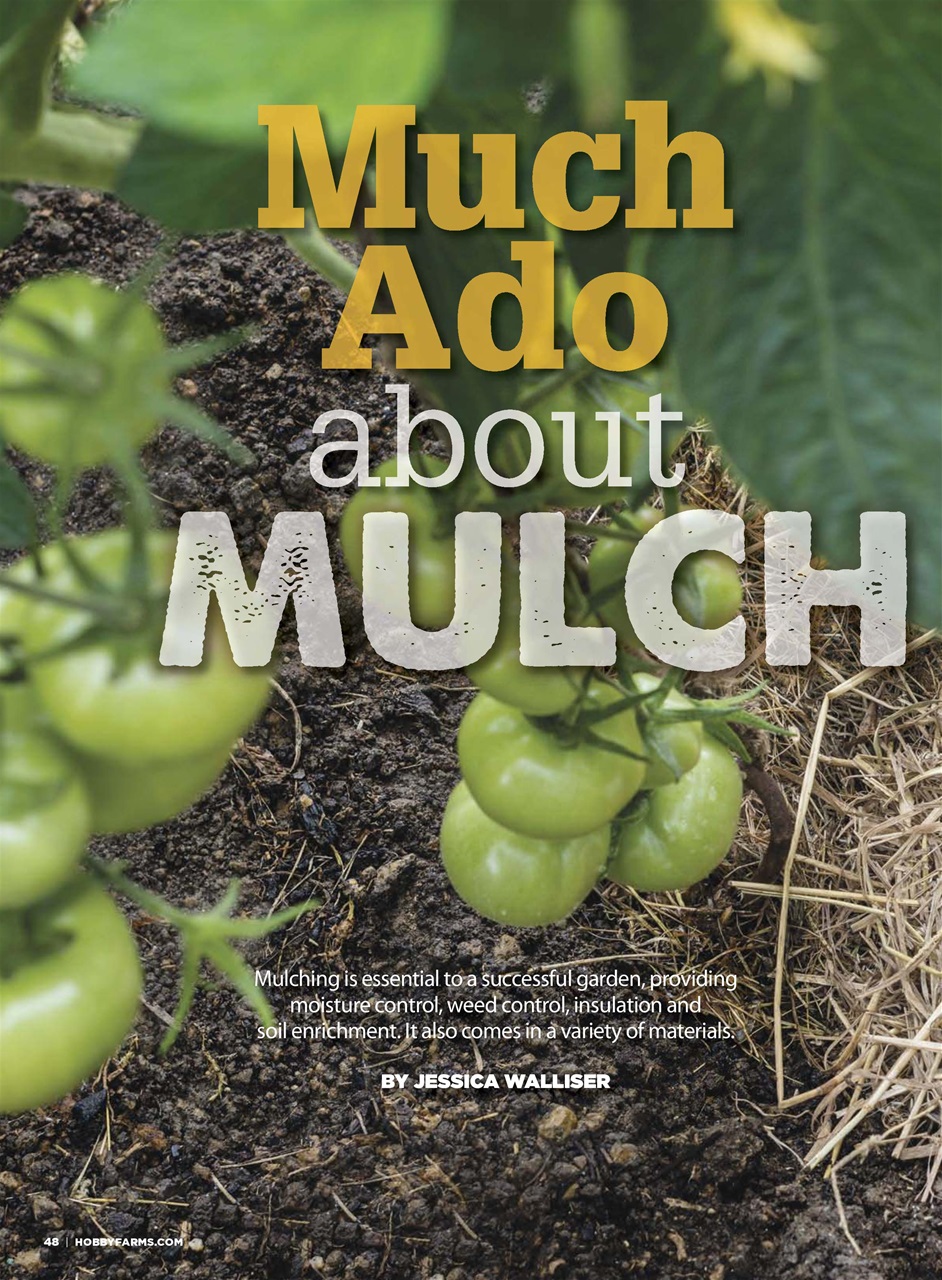 Hobby Farms Magazine Preview Pages