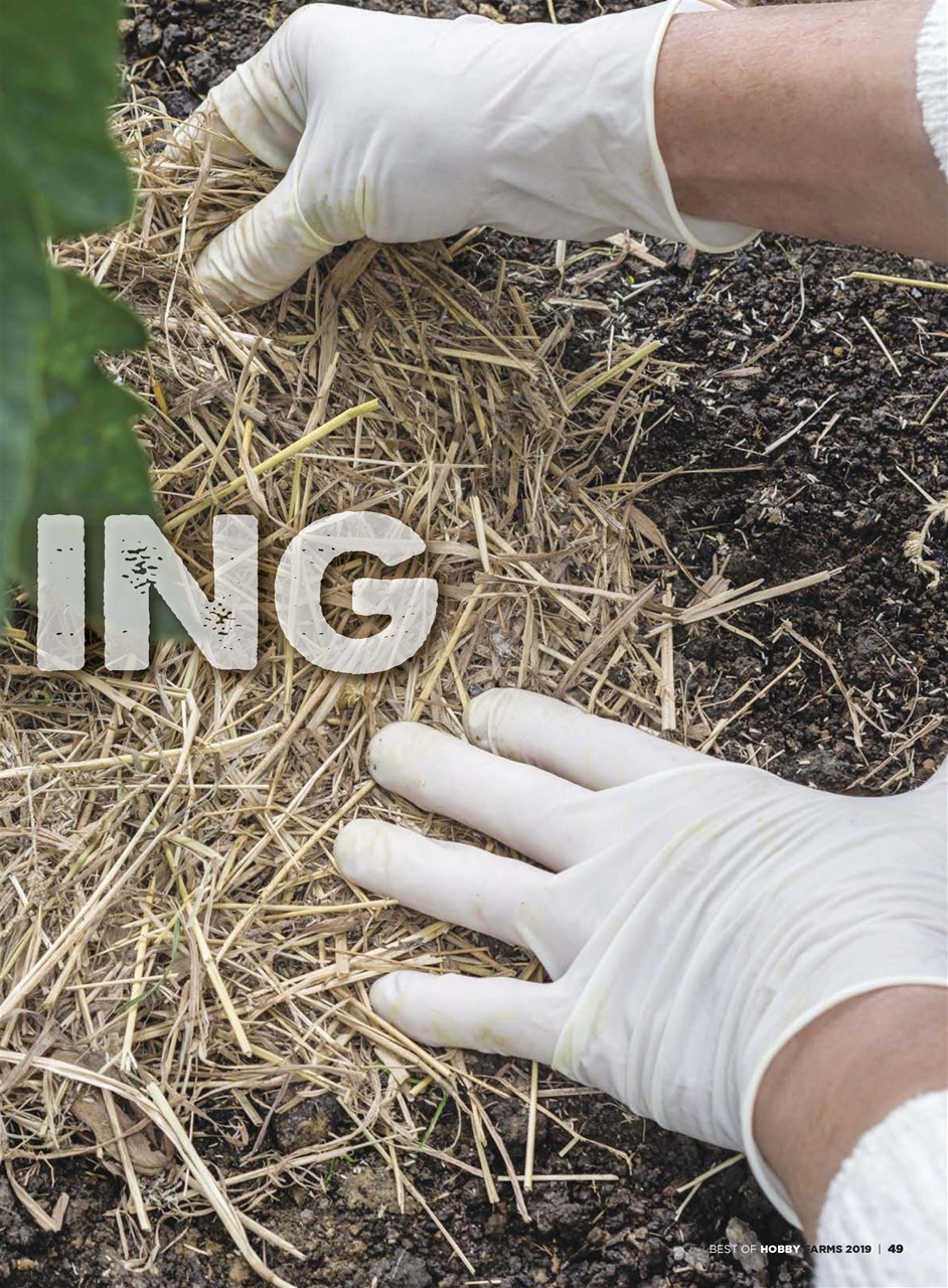 Hobby Farms Magazine Preview Pages