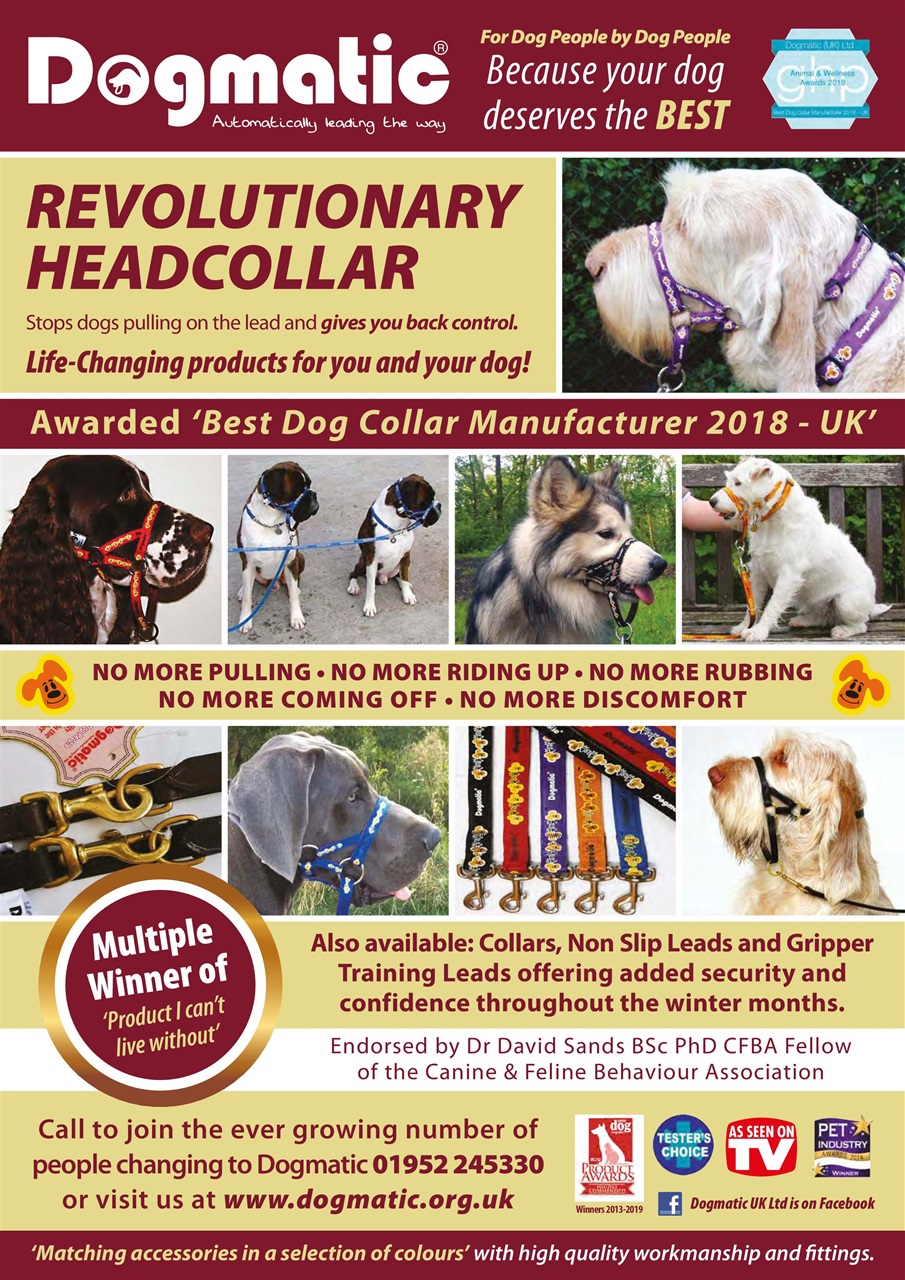 Dogs Monthly Preview Pages