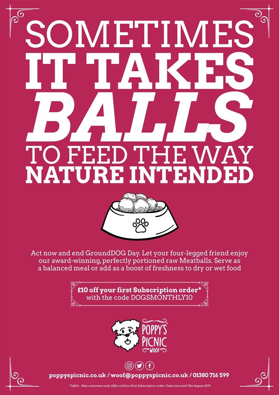 Dogs Monthly Preview Pages