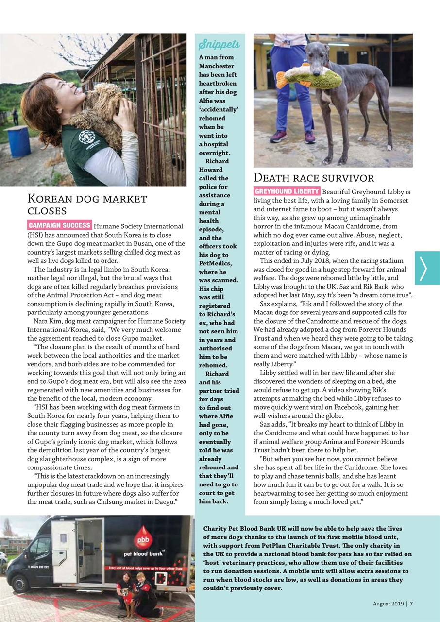 Dogs Monthly Preview Pages