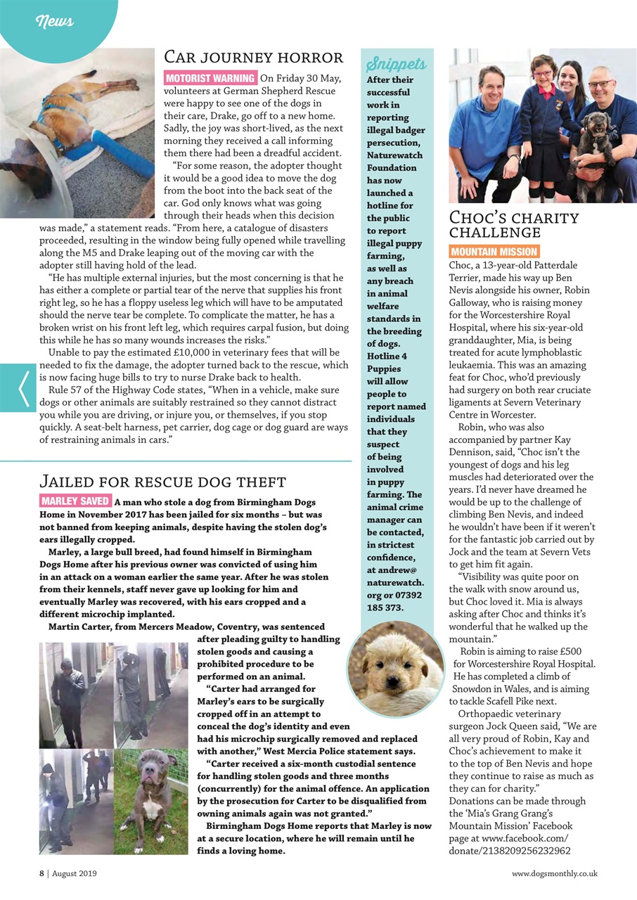 Dogs Monthly Preview Pages
