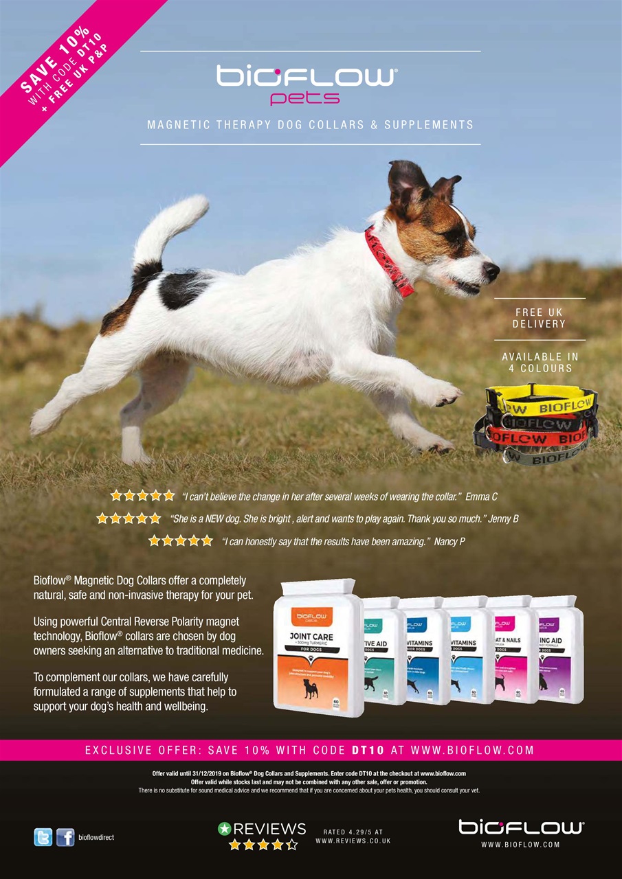 Dogs Today Magazine Preview Pages