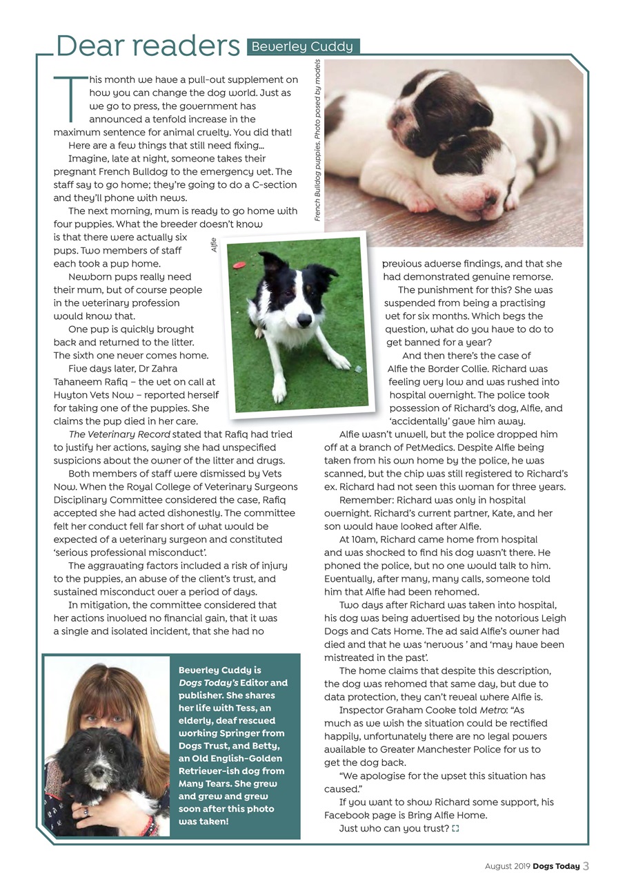 Dogs Today Magazine Preview Pages