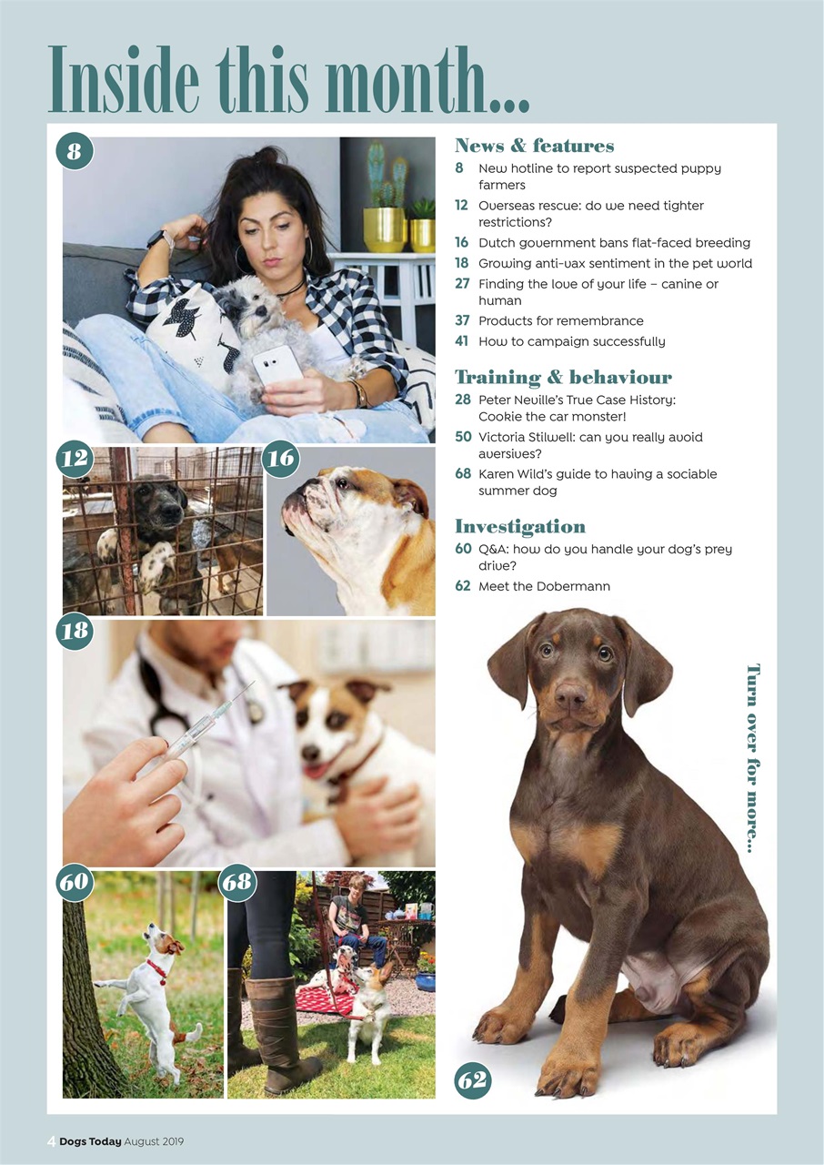 Dogs Today Magazine Preview Pages