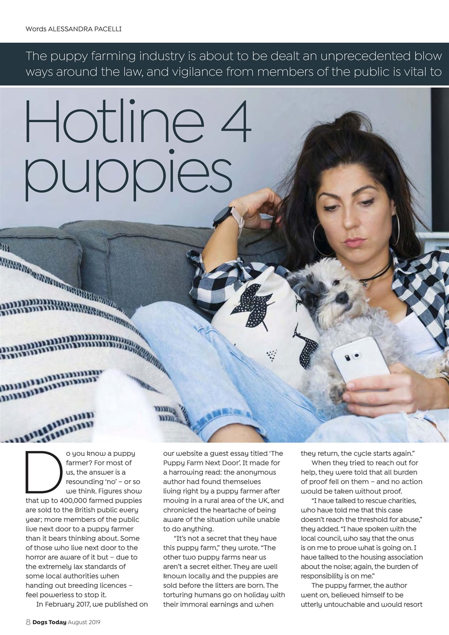 Dogs Today Magazine Preview Pages