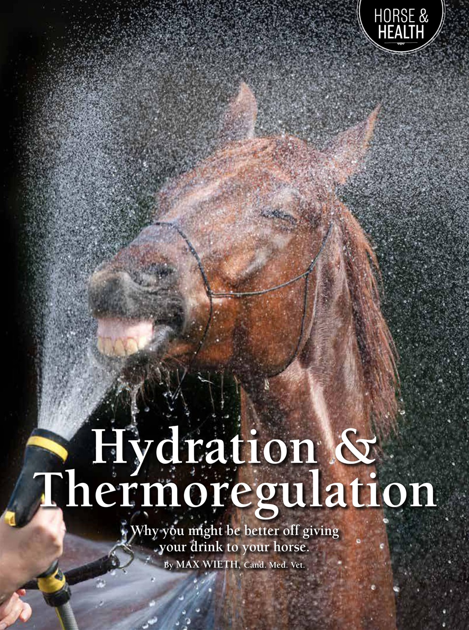 Western Horse Review Preview Pages