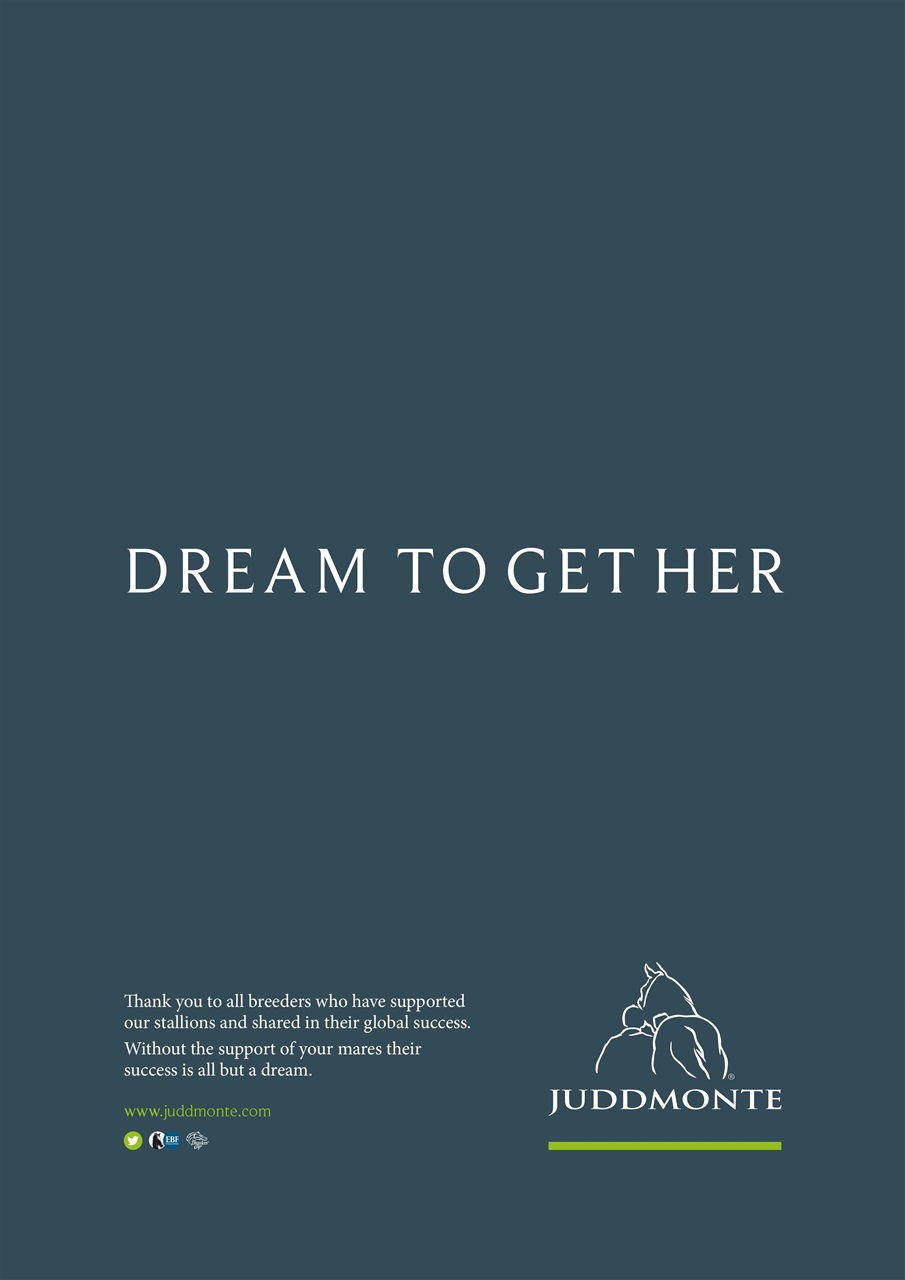 The Owner Breeder Preview Pages