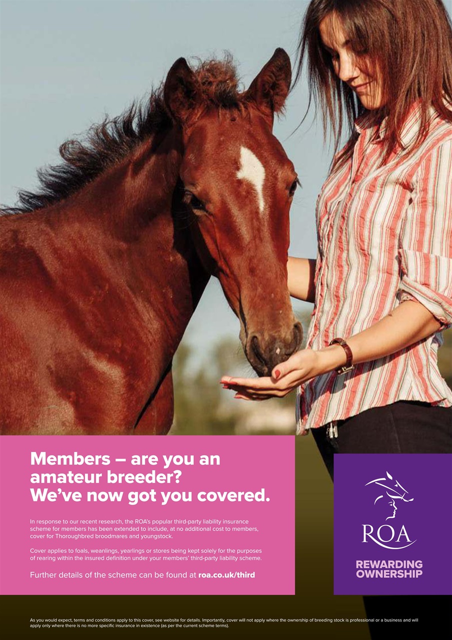 The Owner Breeder Preview Pages