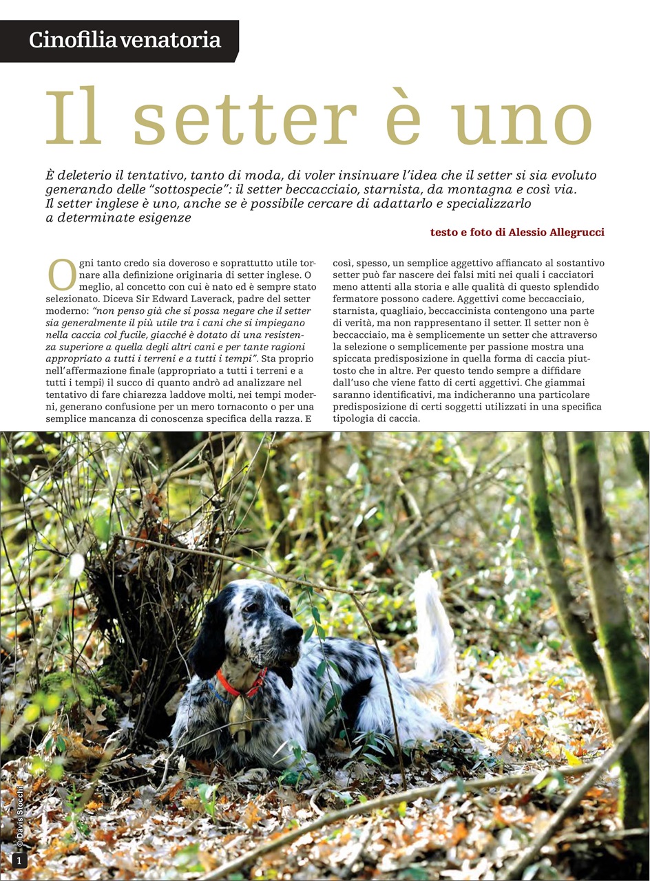 SENTIERI DI CACCIA Preview Pages