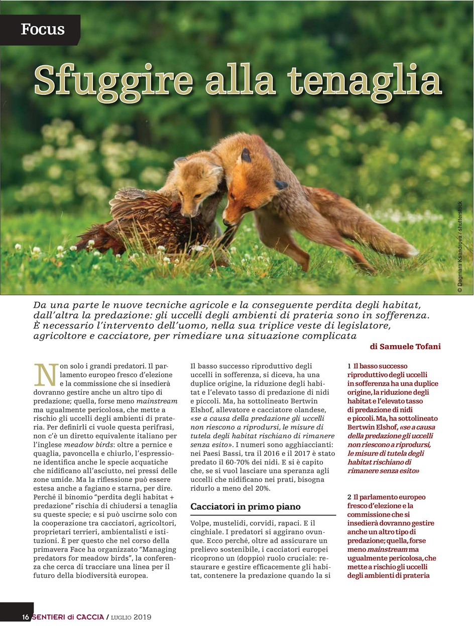 SENTIERI DI CACCIA Preview Pages
