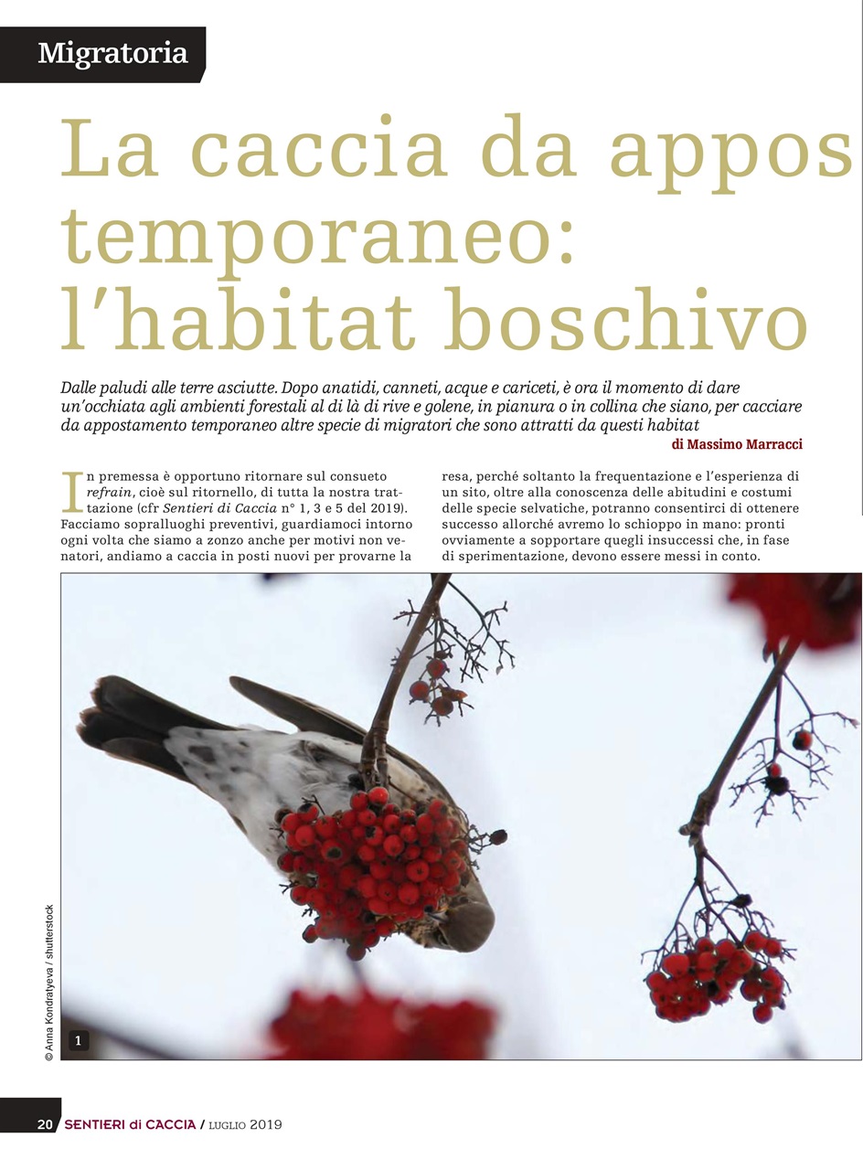 SENTIERI DI CACCIA Preview Pages