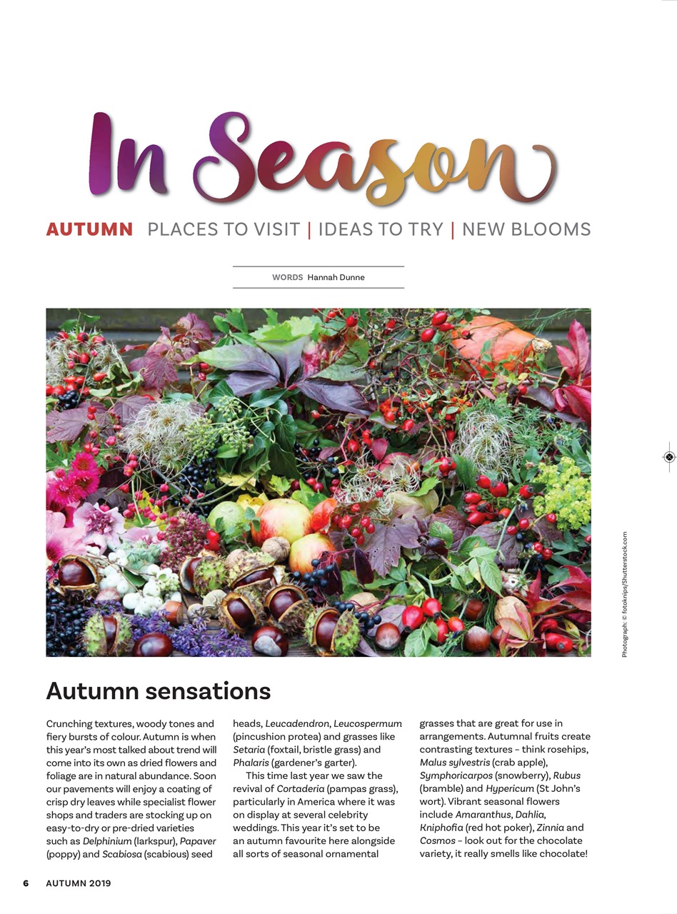 The Flower Arranger Preview Pages