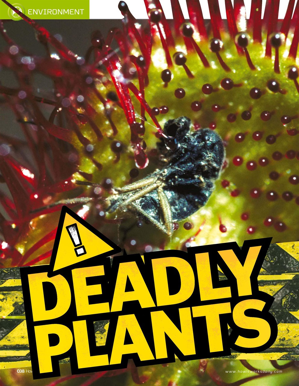 How It Works Preview Pages