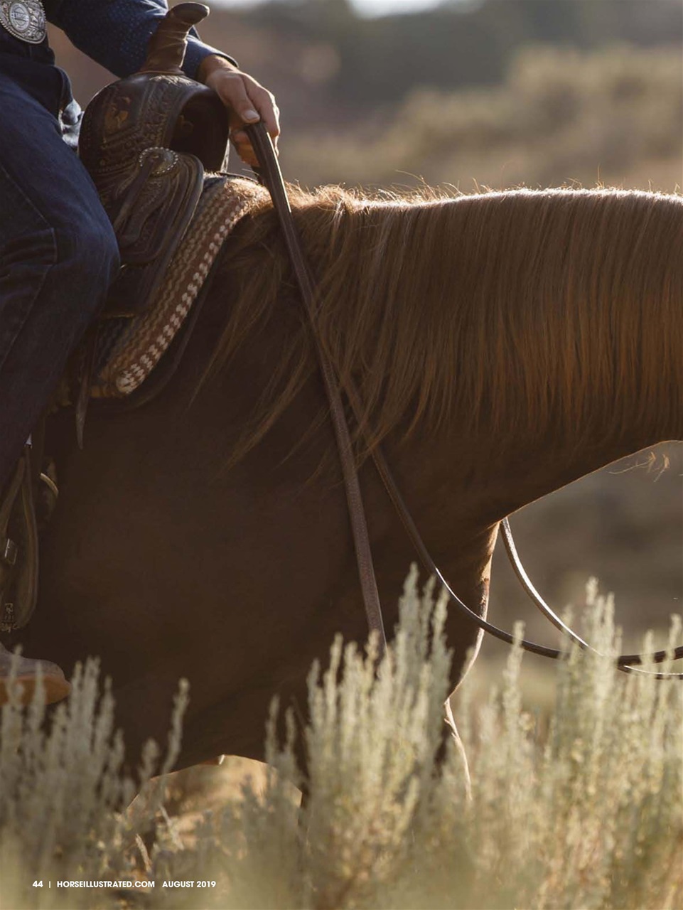 Horse Illustrated Magazine Preview Pages