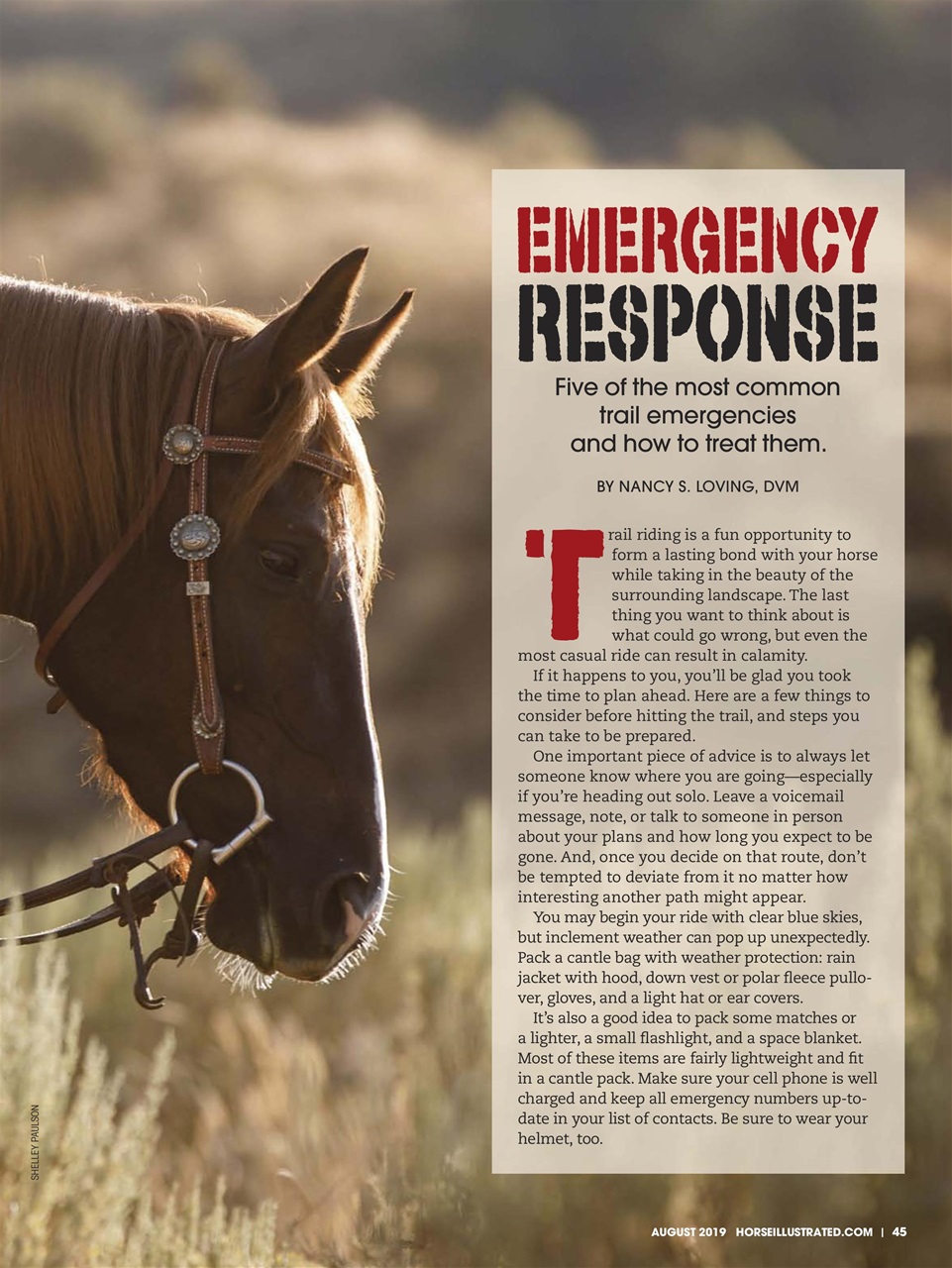 Horse Illustrated Magazine Preview Pages