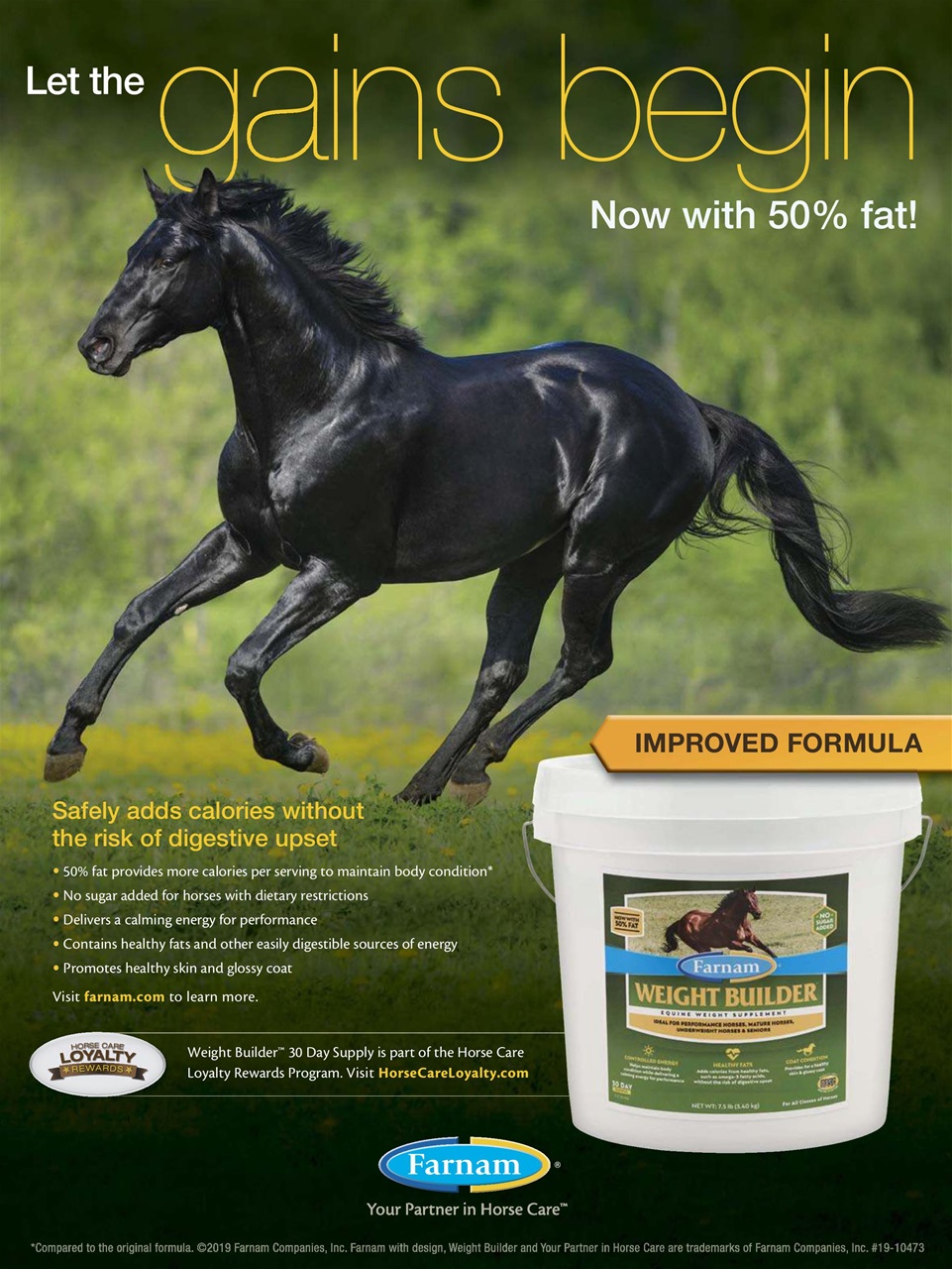 Horse Illustrated Magazine Preview Pages